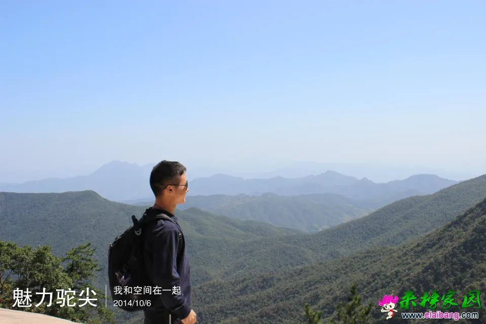 提名3.webp