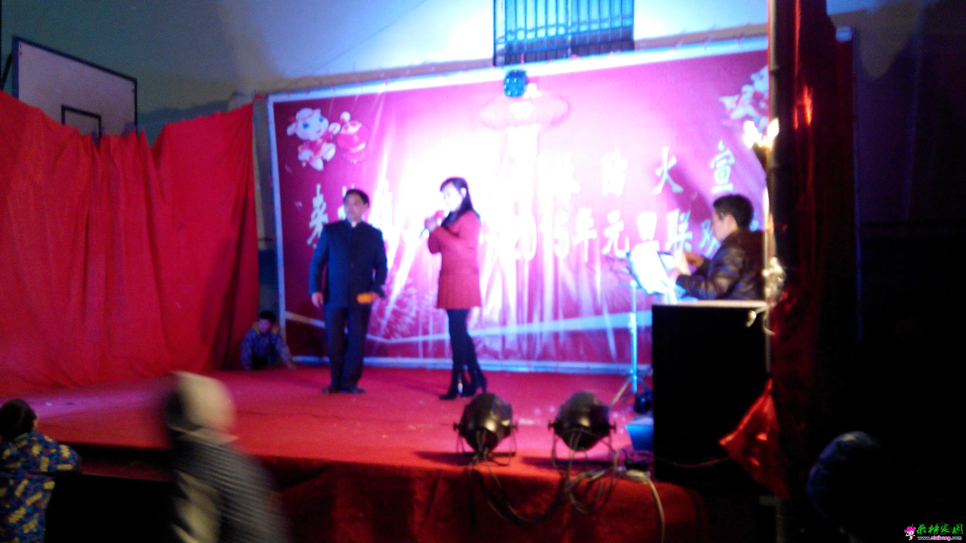 IMG_20141231_205235.webp
