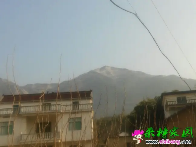 093127cjnljfi6tn60jiid.webp