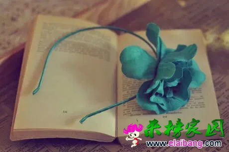 psb.webp