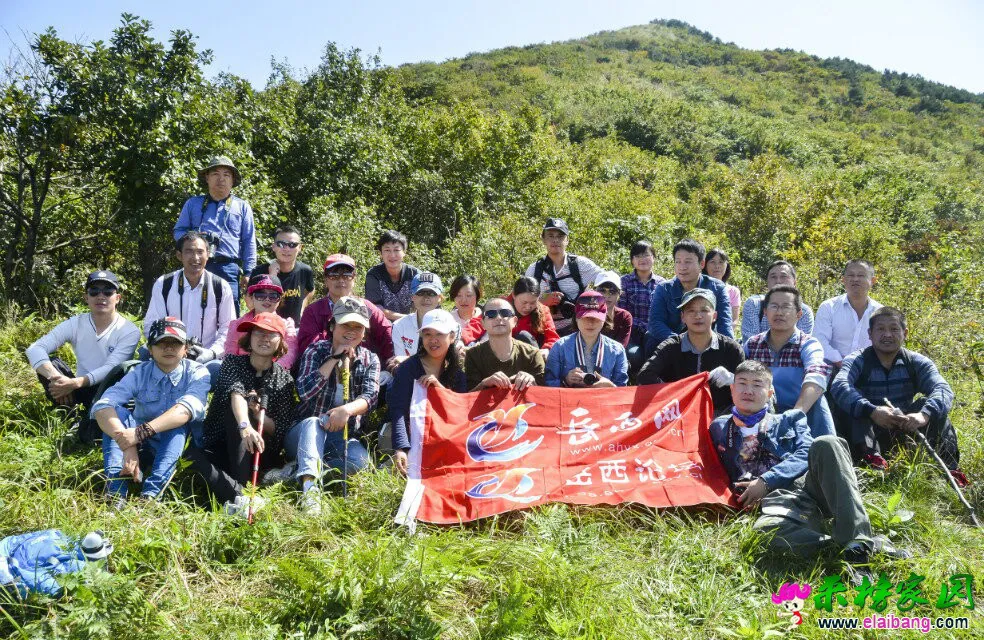 QQ图片20081120010114.webp