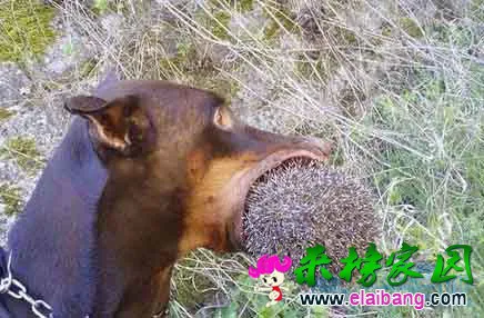 94d60009cdeb0daa.webp