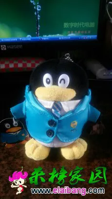 154307s8qz0m18wrwmhrq0.webp