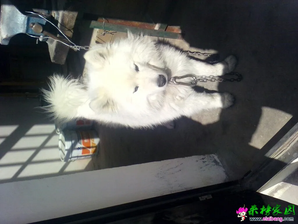 120925nrlm6rndqa1mv1nx.webp