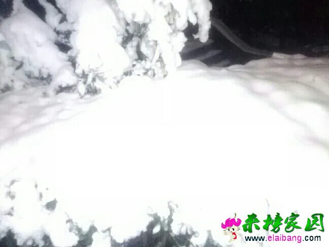212713lzsla9rzs7rre2p2.webp
