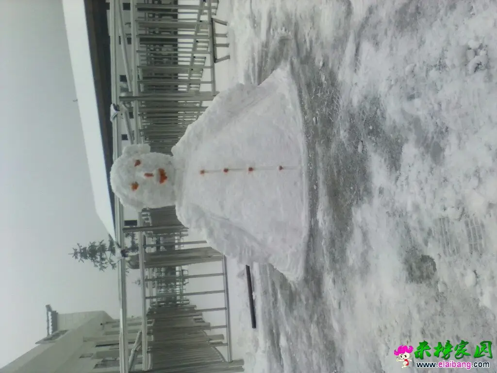 130435wvj27aww78lia2fl.webp