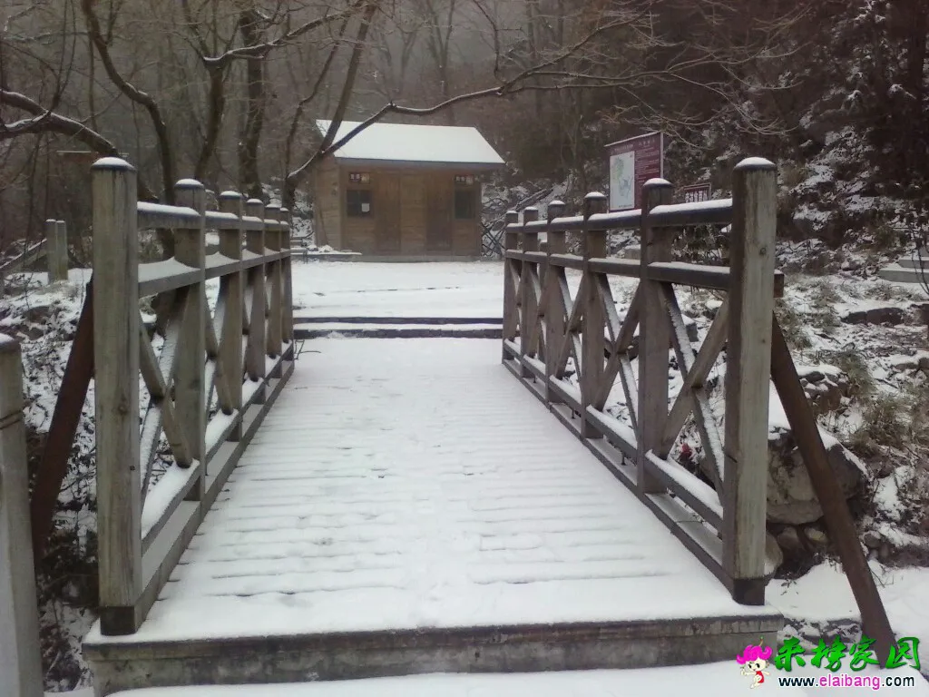 131639f0jz1mrd0zy0171n.webp