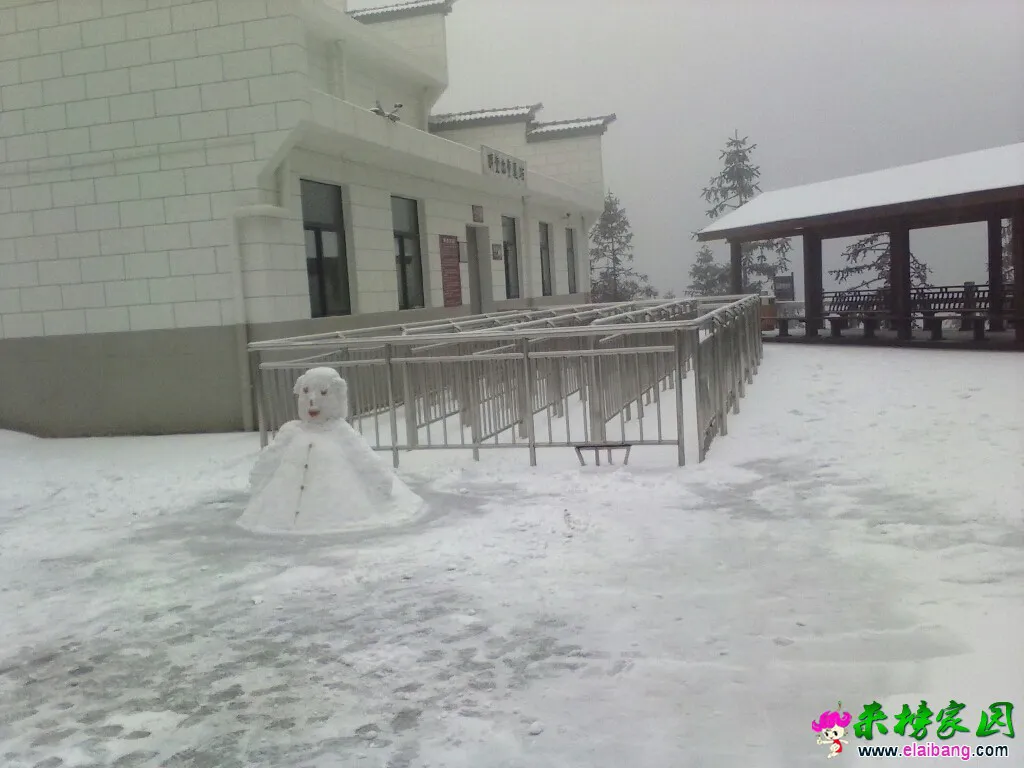 131648vgclqqsglhhpgvch.webp