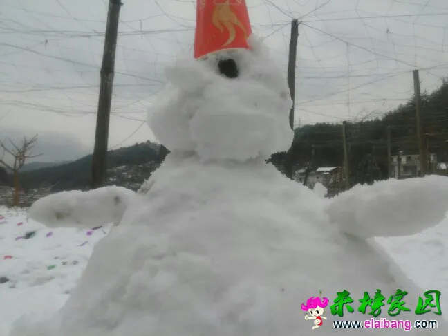 110124t6sazalb4o467z6h.webp