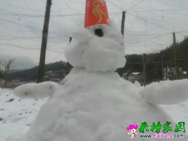 110127sduotvynko6cowox.webp