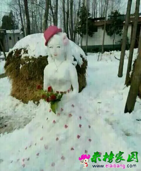 QQ图片2015013012020888.webp