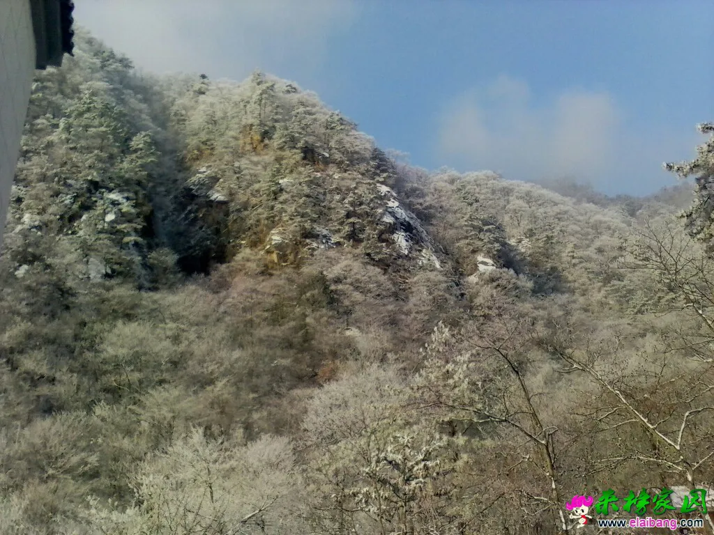 134752c9llfgggxcjgglnx.webp