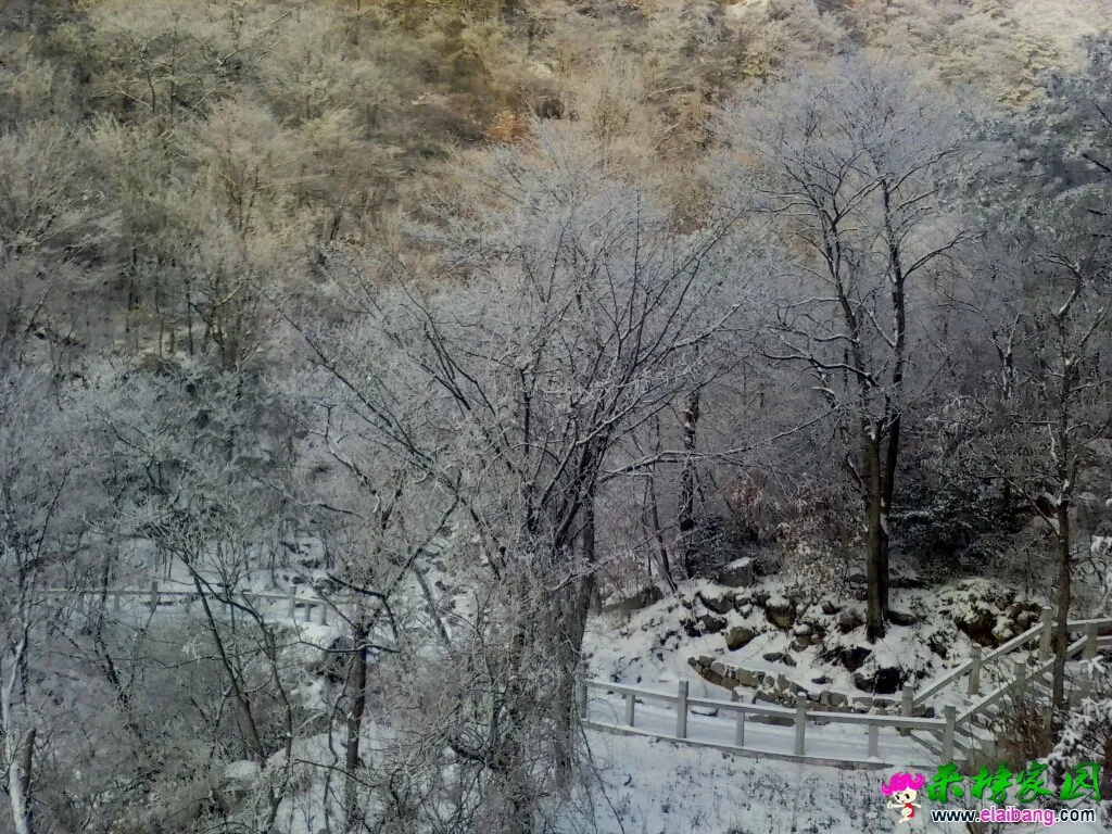140034ewozs5yoayyge5zl.webp