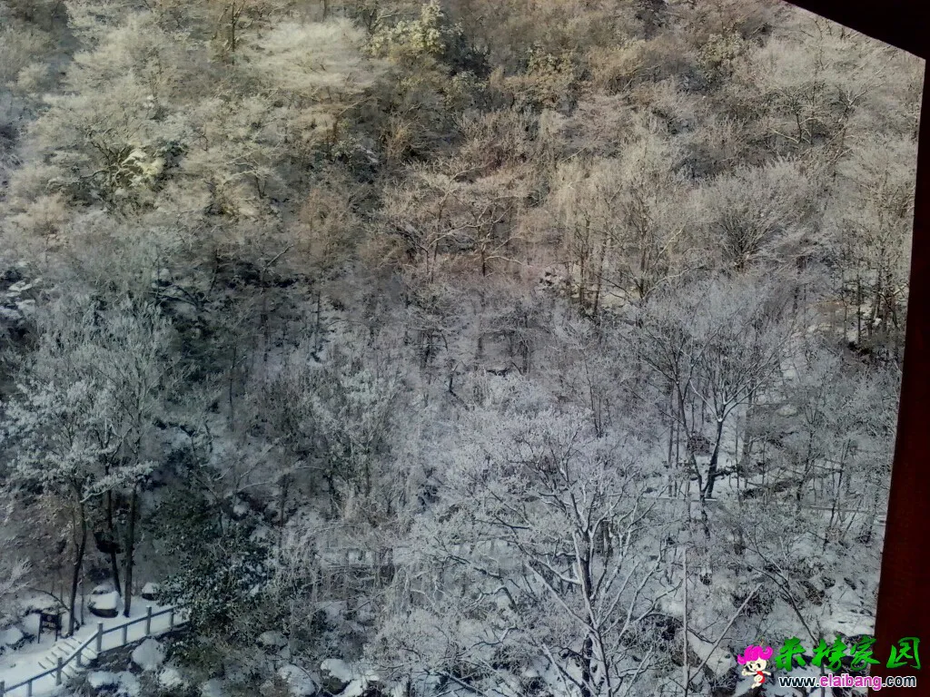 140034qtfexeze1r11pj9d.webp