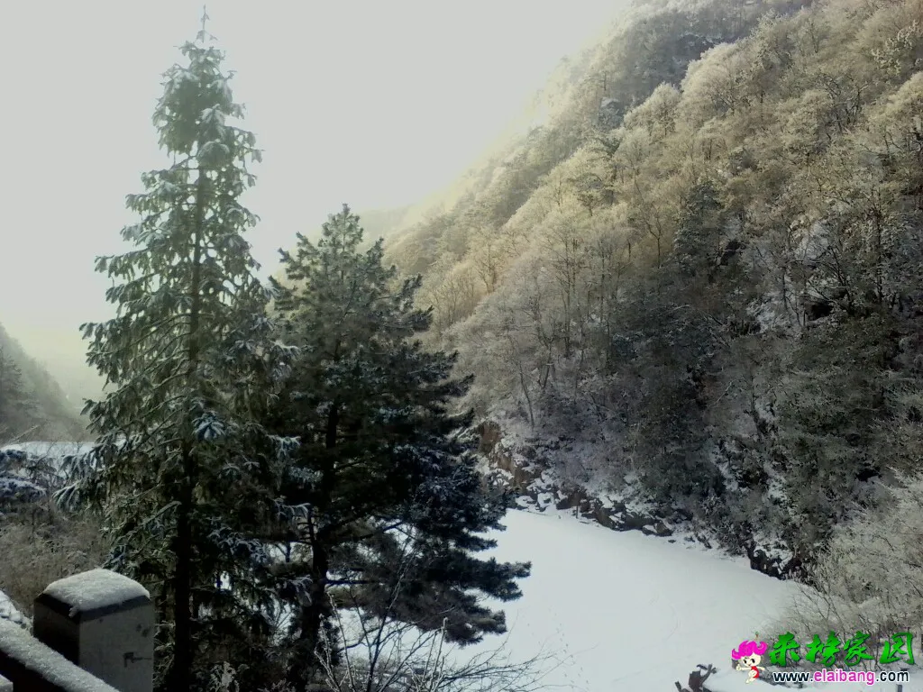 140035rgg0ho6mkppbgpqm.webp