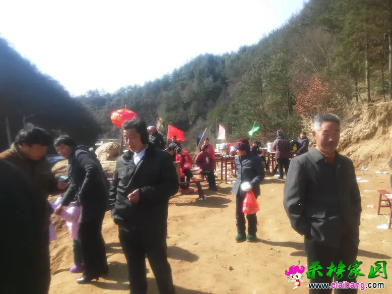 IMG_20150205_112902.webp