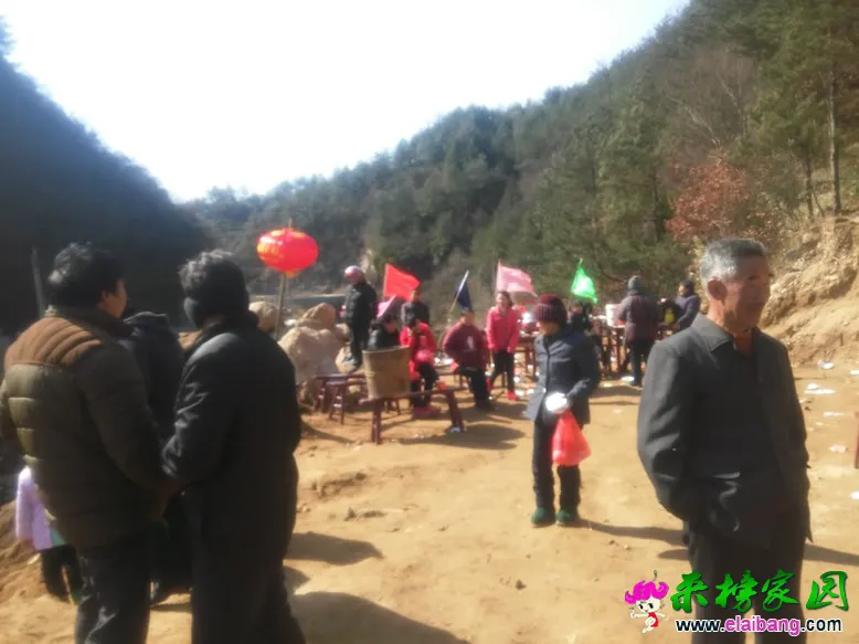 IMG_20150205_112903.webp