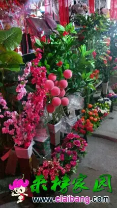 183348e533js93xs383ikp.webp