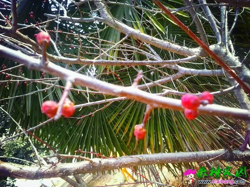 MA201502111126170068-01-025000000.webp