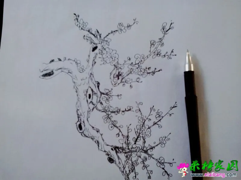 QQ图片20150212113818.webp