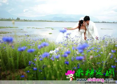 510595607753175818144.webp