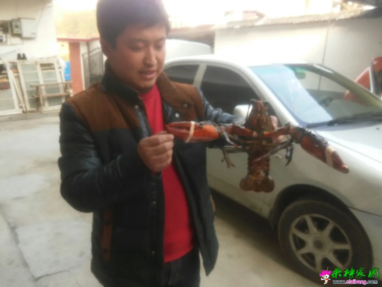155003fr18pj4c8bjtrpxj.webp