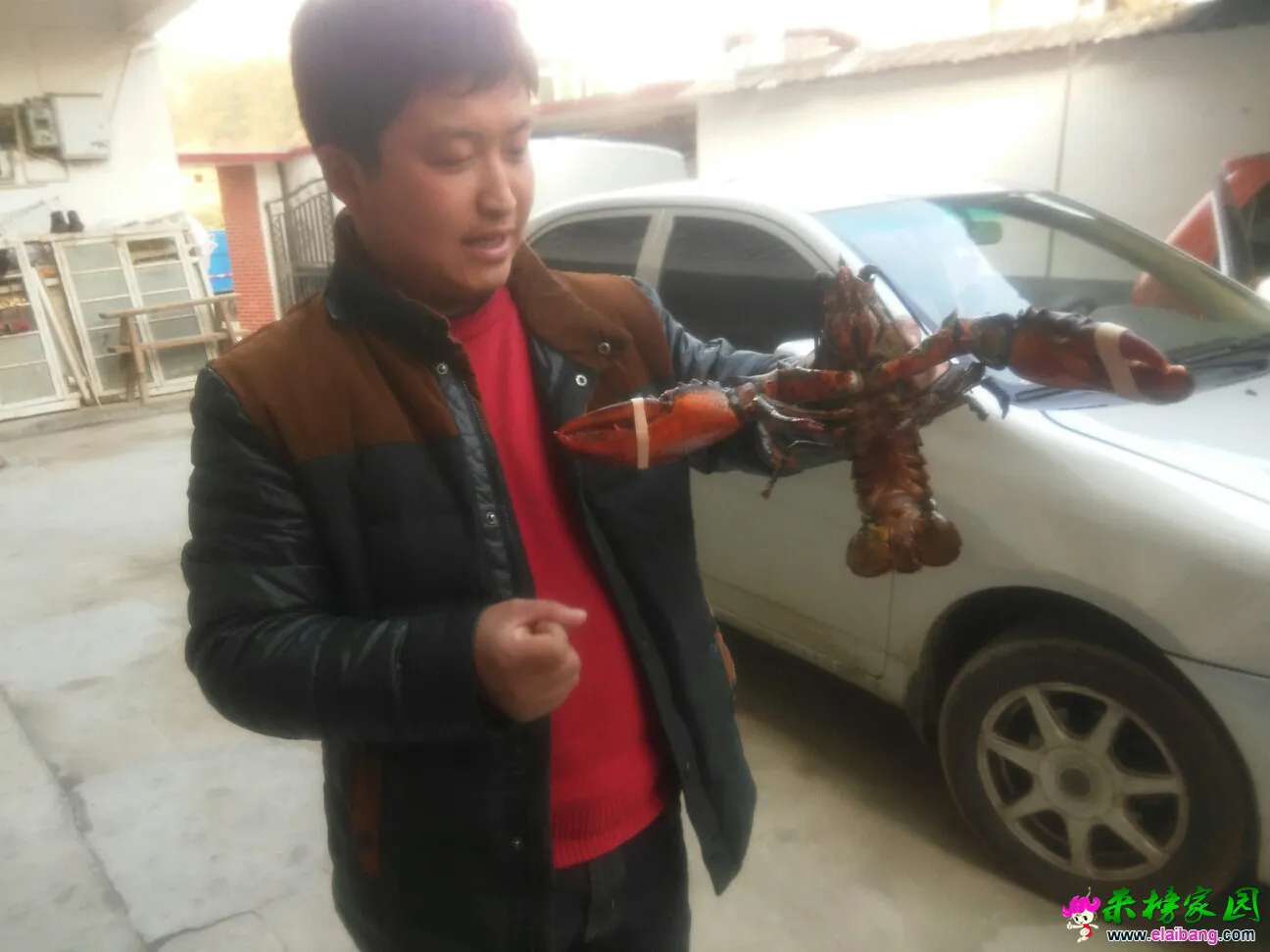 155003zzkanc31a53he5kk.webp
