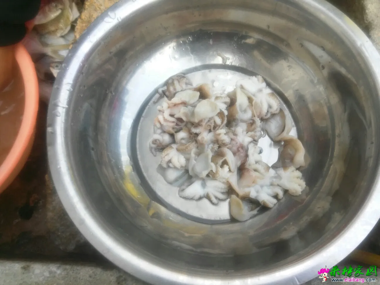 155725iqwnj10ljbbo0jos.webp