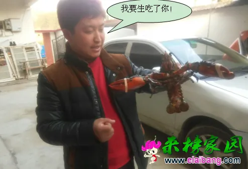 QQ图片20150218161714.webp