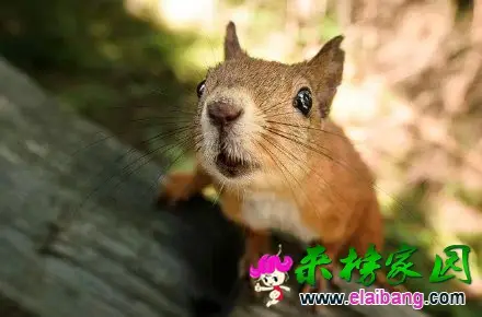 1.webp