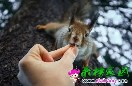 2.webp