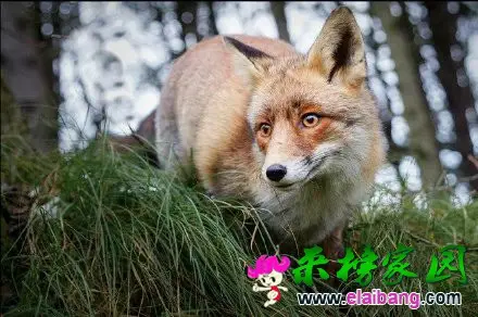 3.webp