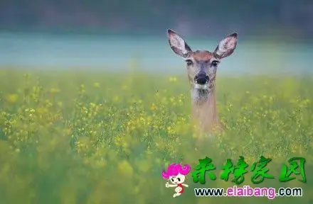 5.webp