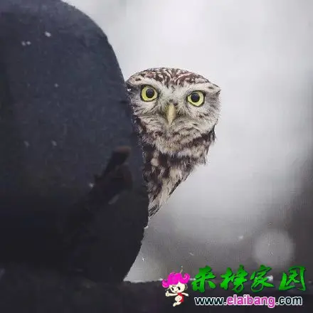 9.webp