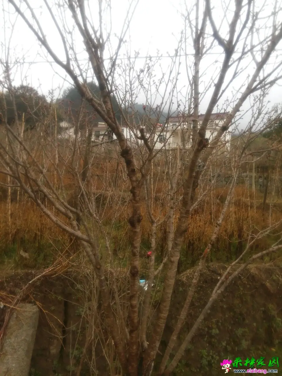 IMG_20150220_142123.webp