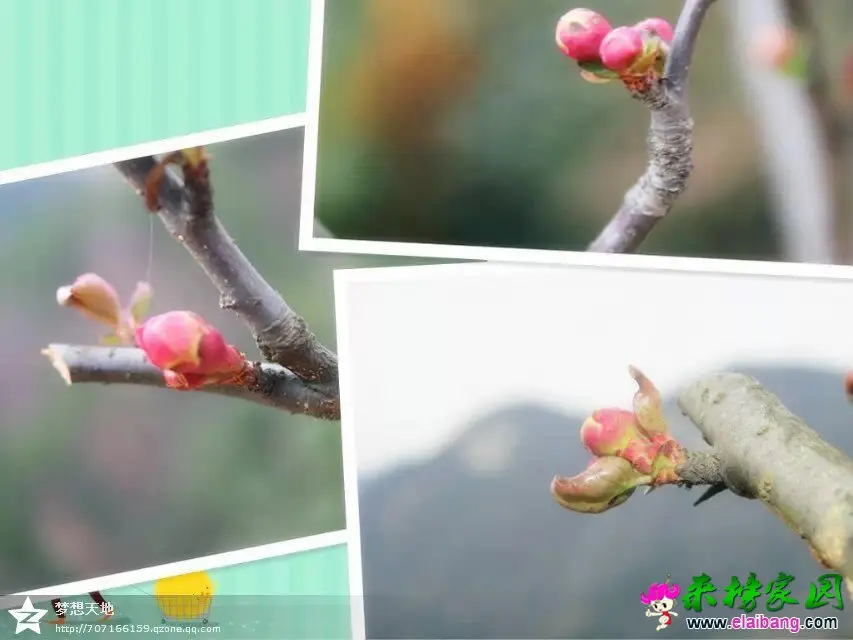 QQ图片20150220222238.webp