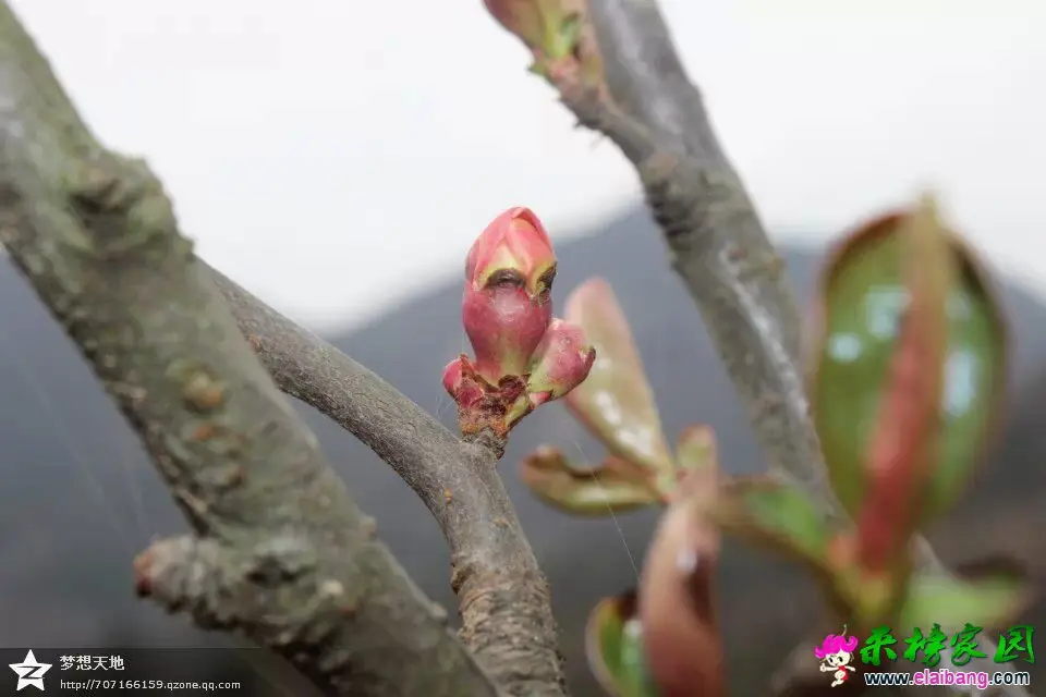 QQ图片20150220222250.webp