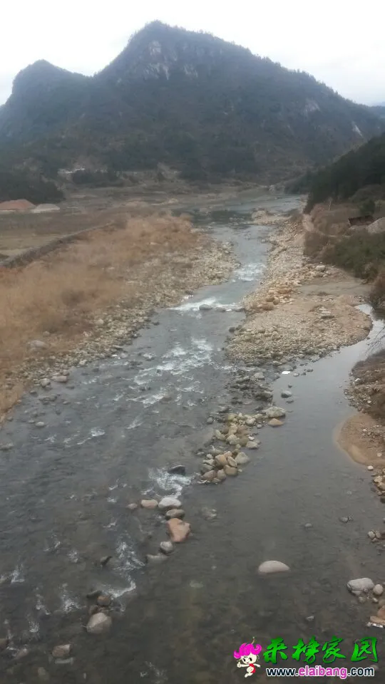 QQ图片201502211656194.webp
