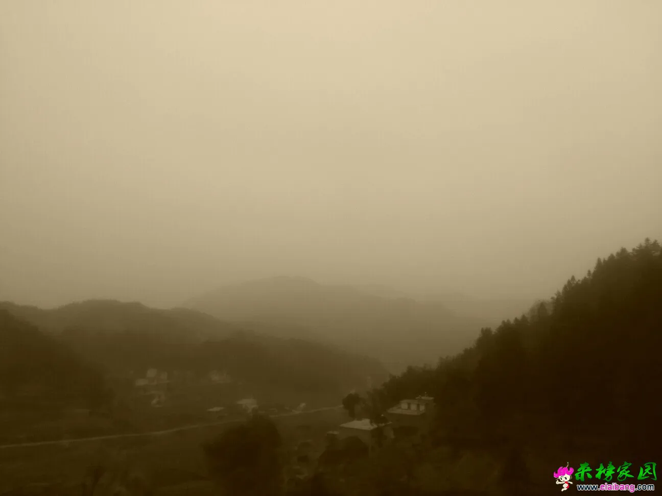 201533b8bjy7t7hb72km9l.webp