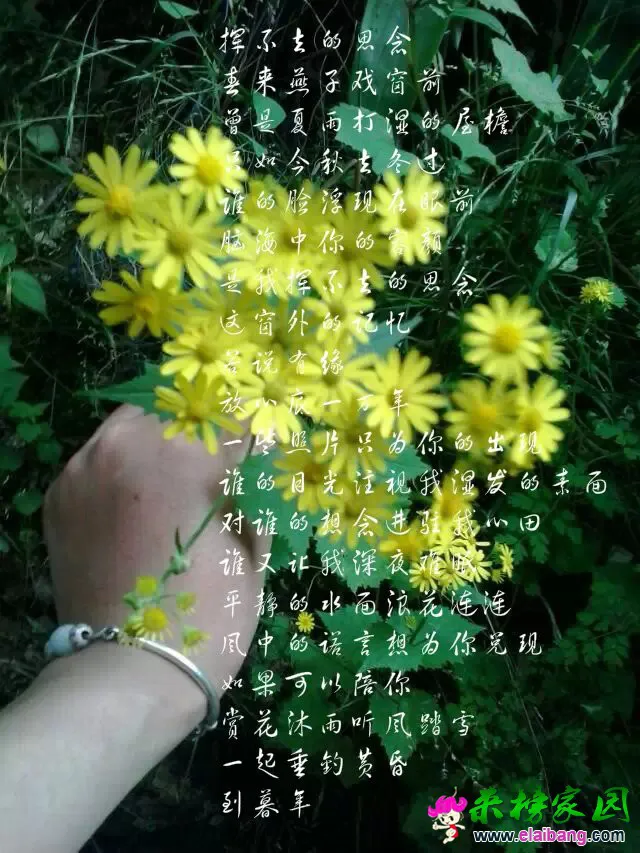 psb (2).webp