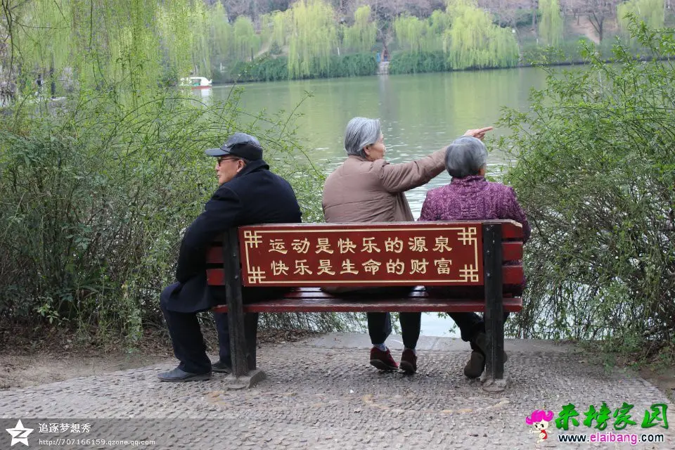图片1.webp