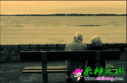 图片2.webp