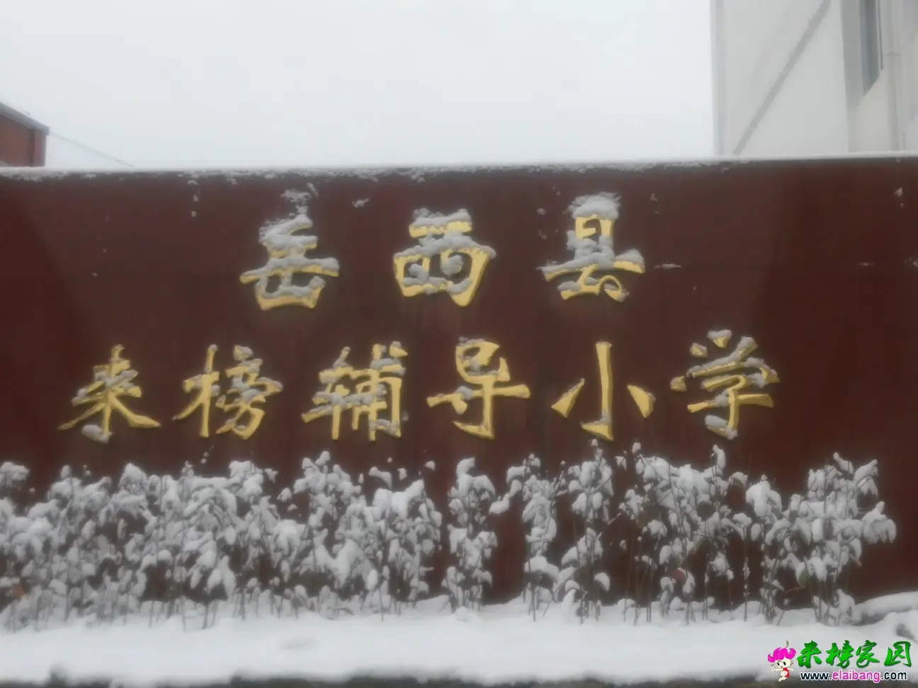 IMG_20150305_075939.webp
