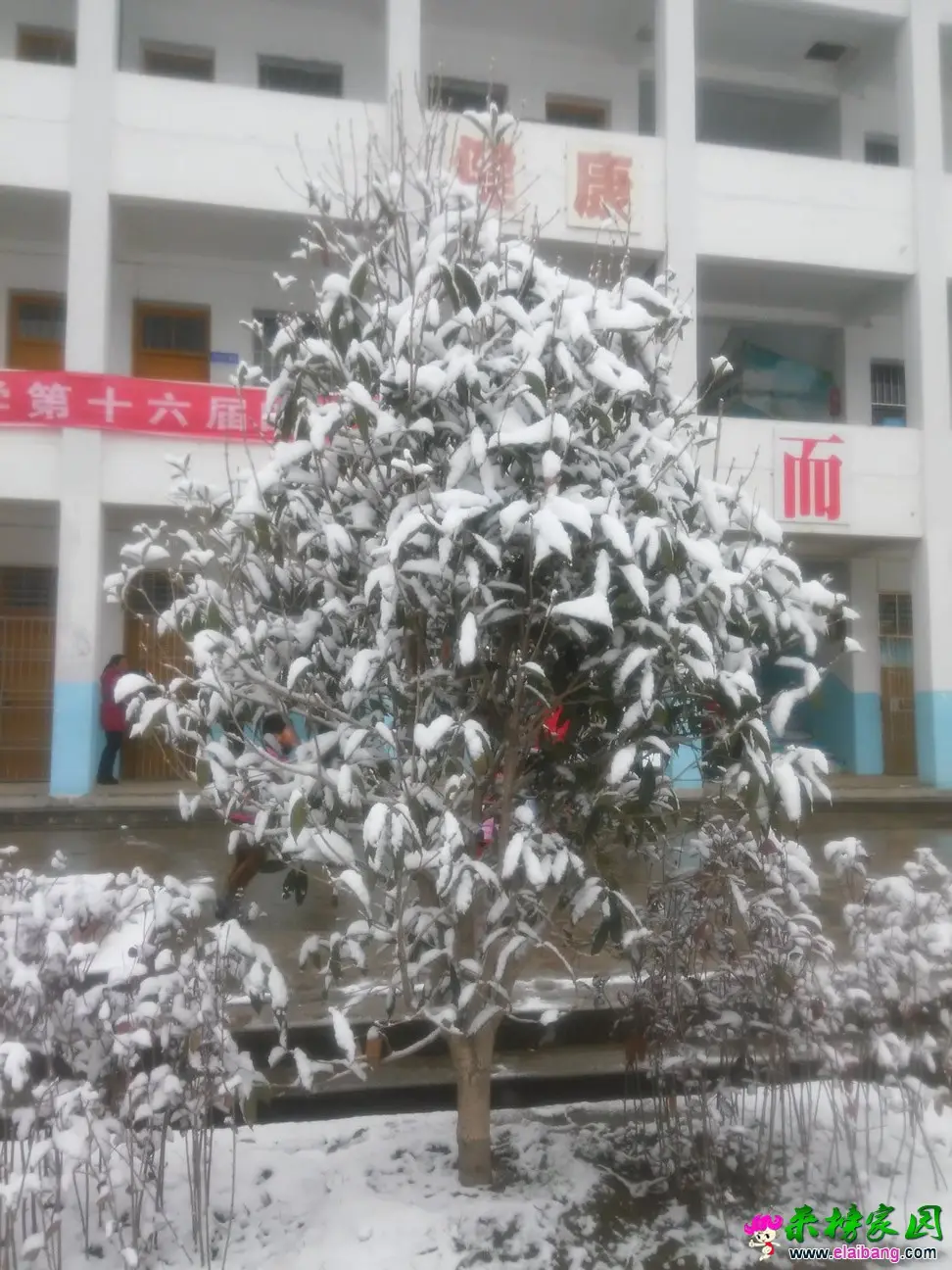IMG_20150305_080156.webp