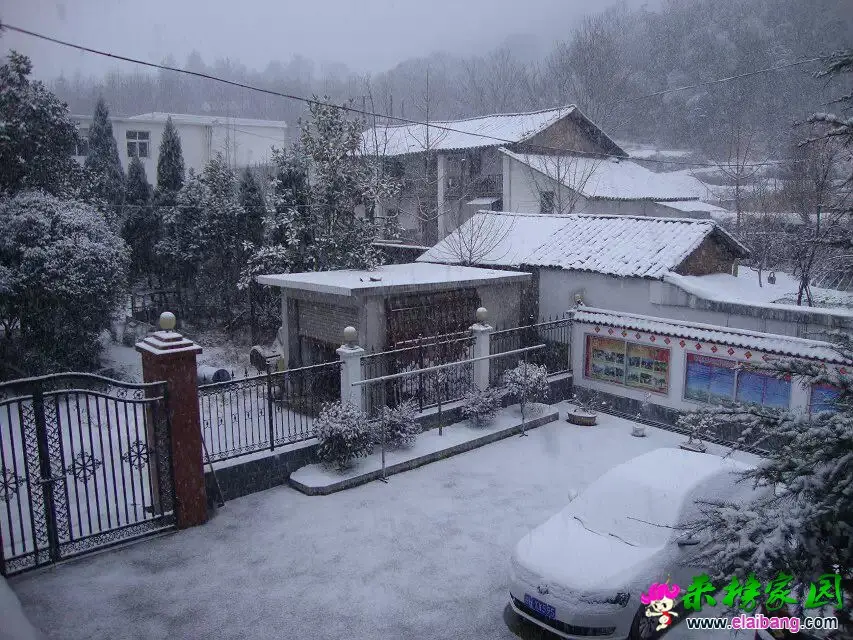 QQ图片20150305082007.webp
