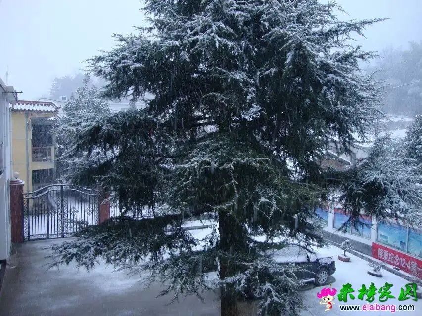 QQ图片20150305081952.webp