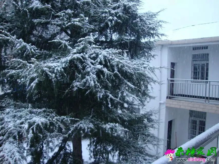 QQ图片20150305082010.webp