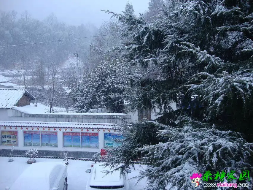 QQ图片20150305082013.webp