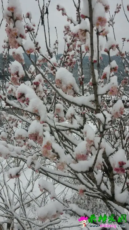 QQ图片201503050957262.webp