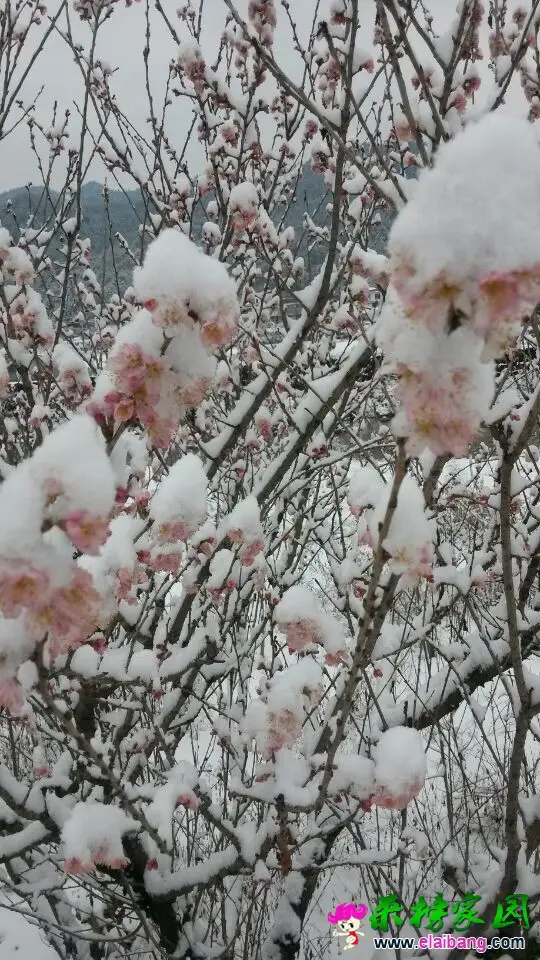 QQ图片201503050957475.webp